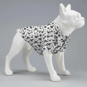 Call Of The Wild Heart