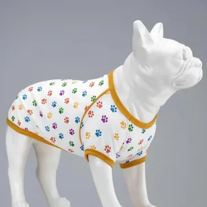 Joy in Every Pawprint