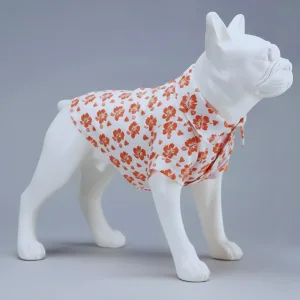 The Allure of Red Hibiscus